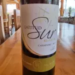 Copa de Vino Carmenere