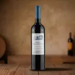 Vinho Bons Ventos Tinto 750ml 🇵🇹