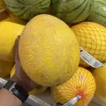 MELÃO AMARELO