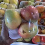 Manga rosa
