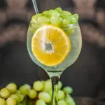 Gin Thompson