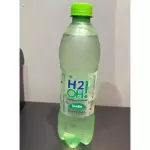 H2o