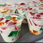 GELATINA MOSAICO
