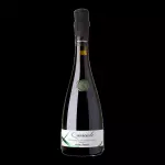 VINO TINTO QUERCIOLI SECO