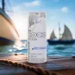 Red Bull Coco & Açai 250ml