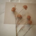 POMPON 0192-4
