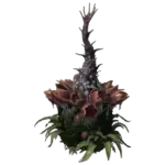 10 Plantas X