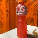 Gatorare 500ML
