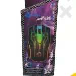 Mouse T2