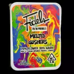 Fidels 70/30 5 pack prerolls