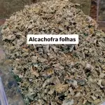 ALCACHOFRA
