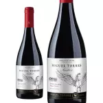 M. Torres  Ándica Pinot  Noir