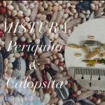 MIISTURA DE PERIQUITO E CALOPS 1KILO