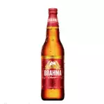 BRAHMA CHOPP
