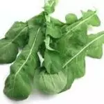 Arugula Baby