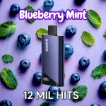 Blueberry Mint
