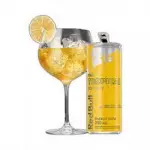 GIN TROPICAL MARACUJÁ