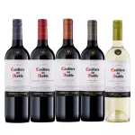 VINO CASILLERO DEL DIABLO 750 ML