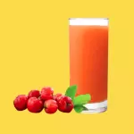 Suco polpa Acerola 300ml