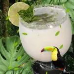 LIMONADA DE LA CASA