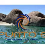 Excursión Isla Elefantes desde bosqu