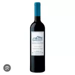 Bons Ventos Tinto 750ml