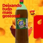 Refri Guaraná AtivPLus 2 Litros