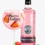 Botella Puerto de indias