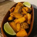 iscas de tilápia