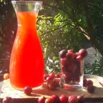 CAMU CAMU 1LT