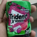 Trident garrafa melancia mint