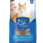 CAT CHOW