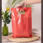 Bolsas Boutique (ROJO CORAL)