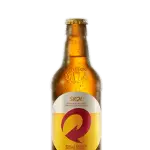90-Skol