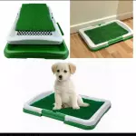 🐱BAÑO ECOLÓGICO DE MASCOTA🐶