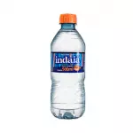 Água Mineral com Gás 500ml