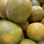 LARANJA TRADICIONAL