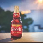 Modelo Noche Especial (TEMPORADA)