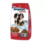 NOGACAN CACHORRO