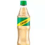 Schweppes Ginger 400ml