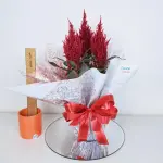 A435 Celosia "Personalidade"