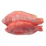Mojarra