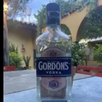 VODKA  GORDON´S(TRAGO)