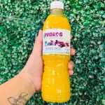 AGUA DE MANGO 500ML