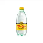 Topo chico