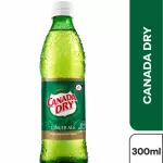 Canada Dry 300ml