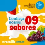 Sorvetes de iogurte - "Cremosinho"