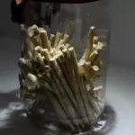 Palitos Comestibles