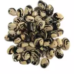Fava Preta - 100g