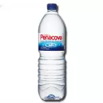 Água Sem Gás 500 ml